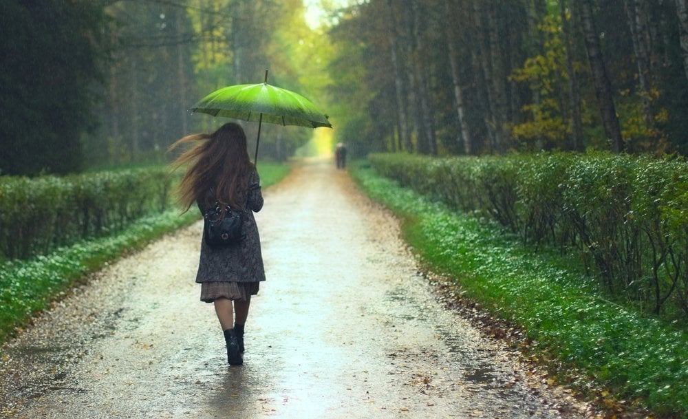 Petrichor: Por que o cheiro do solo após a primeira chuva é tão doce? Petrichor: Por que o cheiro do solo após a primeira chuva é tão doce?