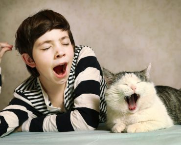 Yawning Contagious