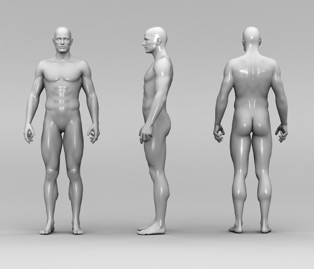 6 partes do corpo e órgãos que os seres humanos não precisam