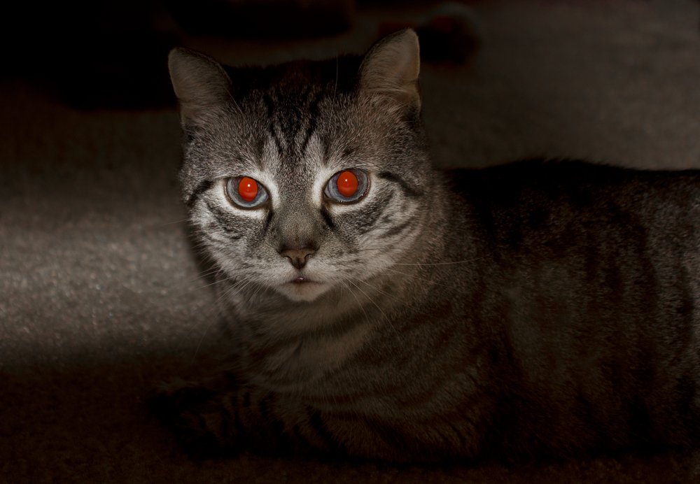 Red Eye