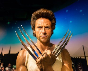 Wolvernie