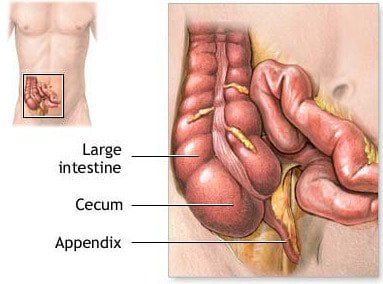 apêndice