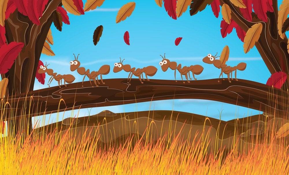 Ants Marching