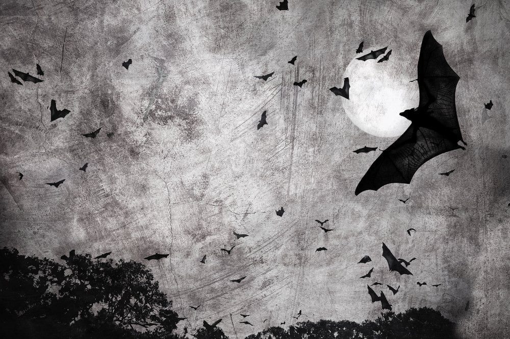 Morcegos em Dark