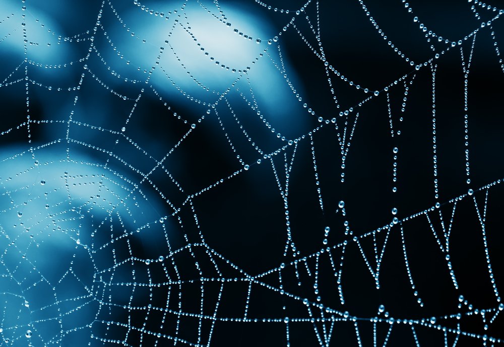 Seda de aranha