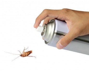 Cockroach spray with spray cans over white background