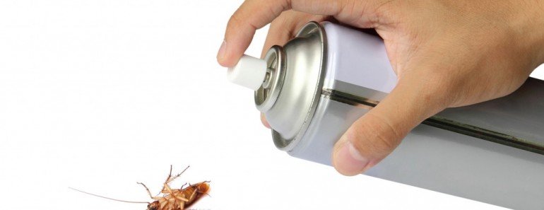 Cockroach spray with spray cans over white background
