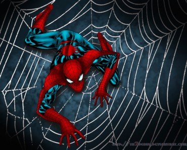 What Makes Spider Silk So Special?