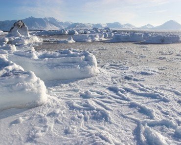 Frozen Arctic