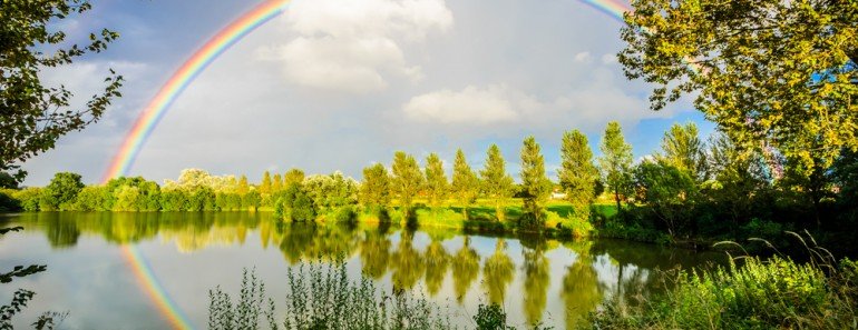 Rainbow Curve