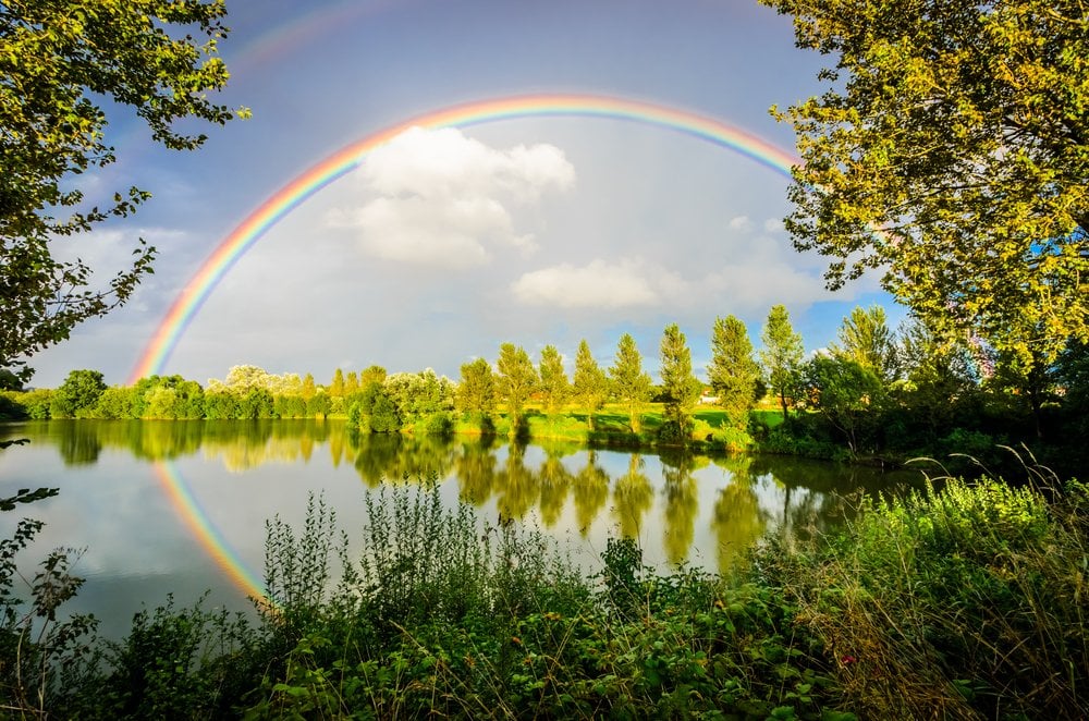 Rainbow Curve