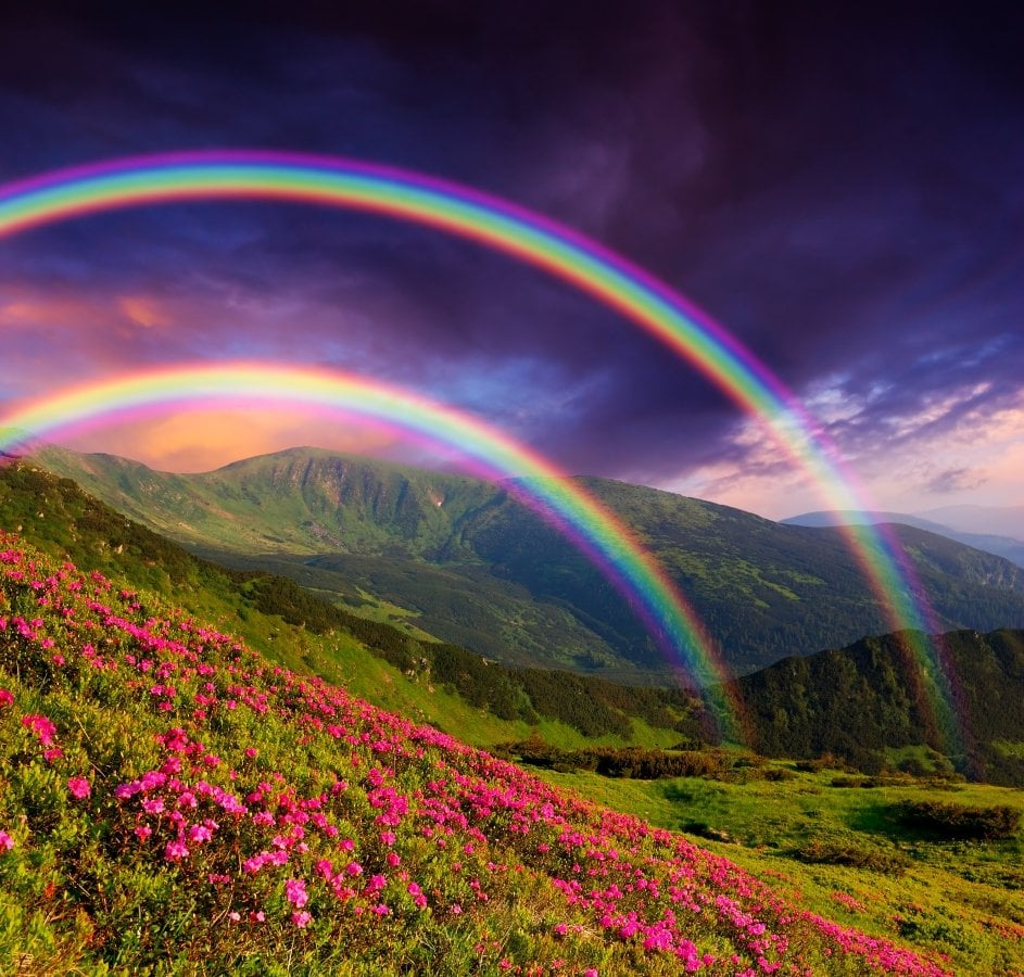 Image result for rainbows