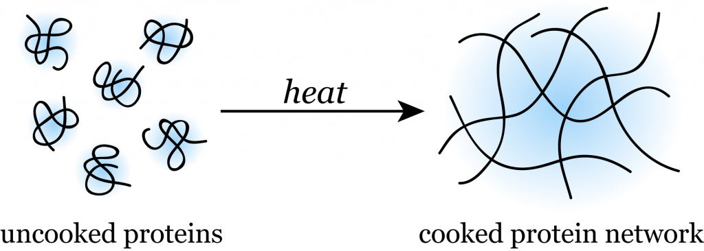 proteincoagulation