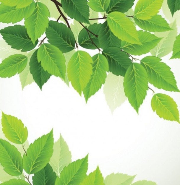 Por que você vê vários tons de verde em um jardim? Por que você vê vários tons de verde em um jardim?