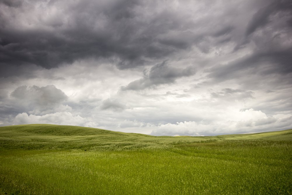 Crédito: Pavel Szabo / Shutterstock