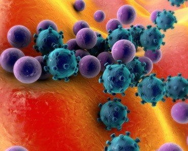 Can Viruses Be Killed germs microorganisms