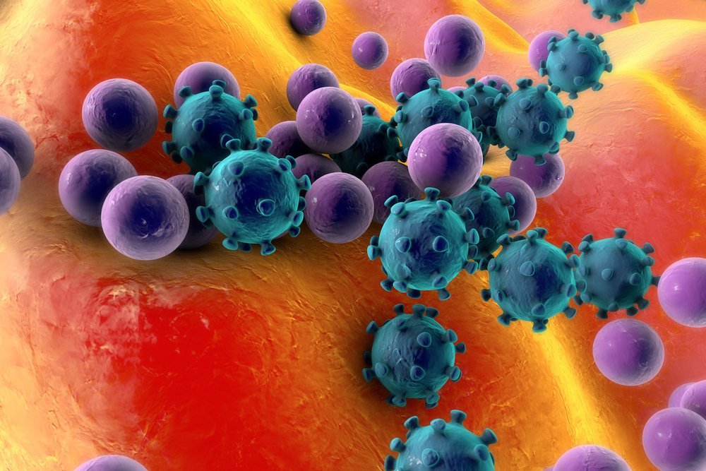 Can Viruses Be Killed germs microorganisms