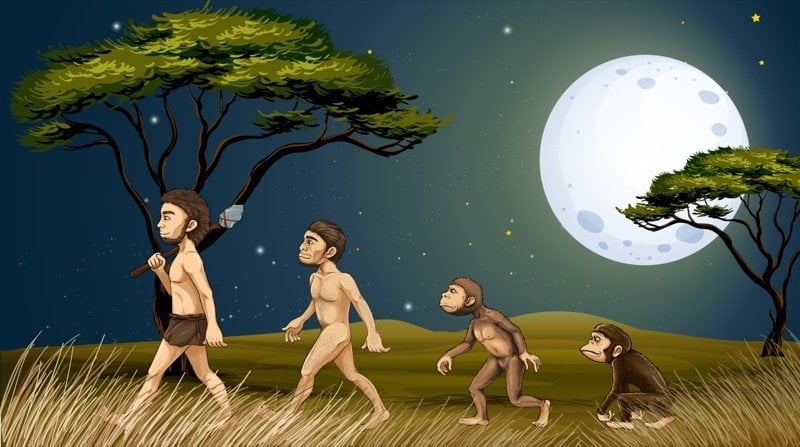 O que nos torna humanos e nos separa dos animais? O que nos torna humanos e nos separa dos animais?