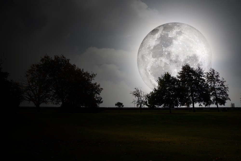 Shutterstock_97346951