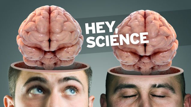 Can The Brain Or Head Be Transplanted? » Science ABC Can The Brain Or Head Be Transplanted? » Science ABC
