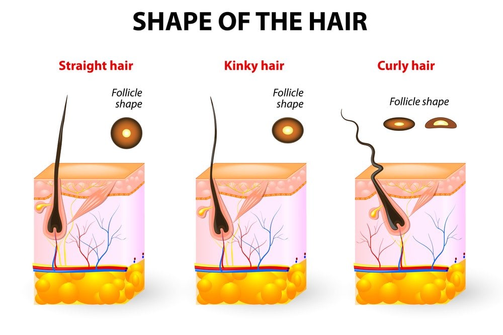 Prefect Causes Of Curly Hair Going Straight for Rounded Face