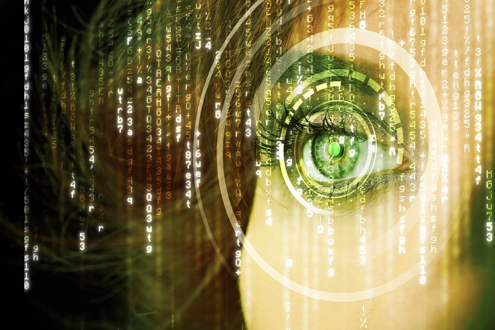 How the brain keeps time, MIT News