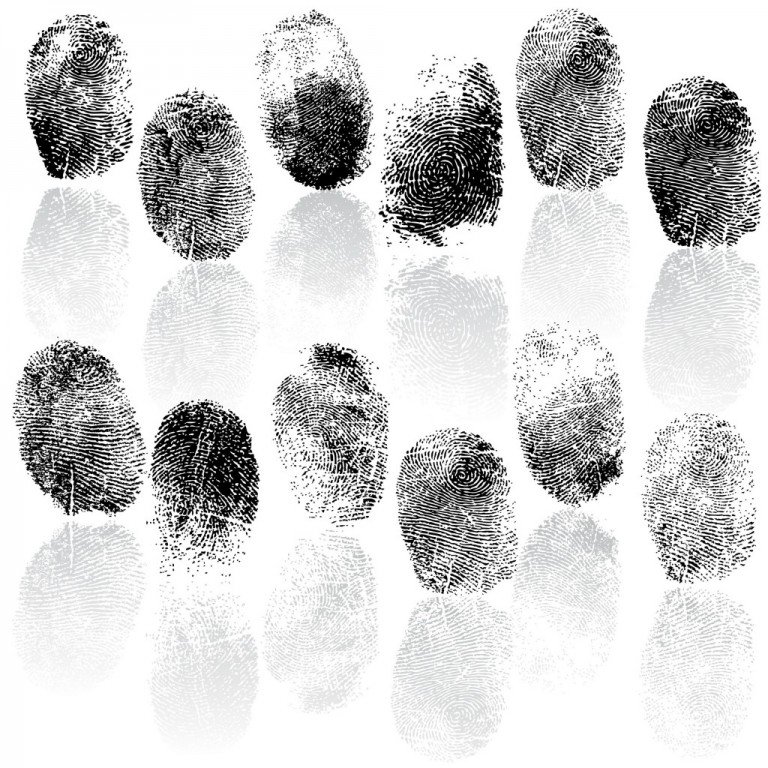 Why Do We Have Fingerprints And Why Are They Unique? » ScienceABC