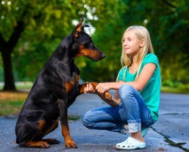 Do Animals Speak A Language Humans Don't Understand?