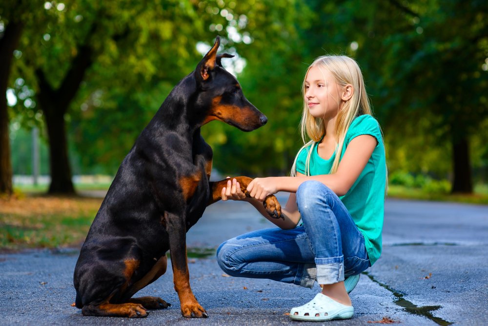 Do Animals Speak A Language Humans Don't Understand?