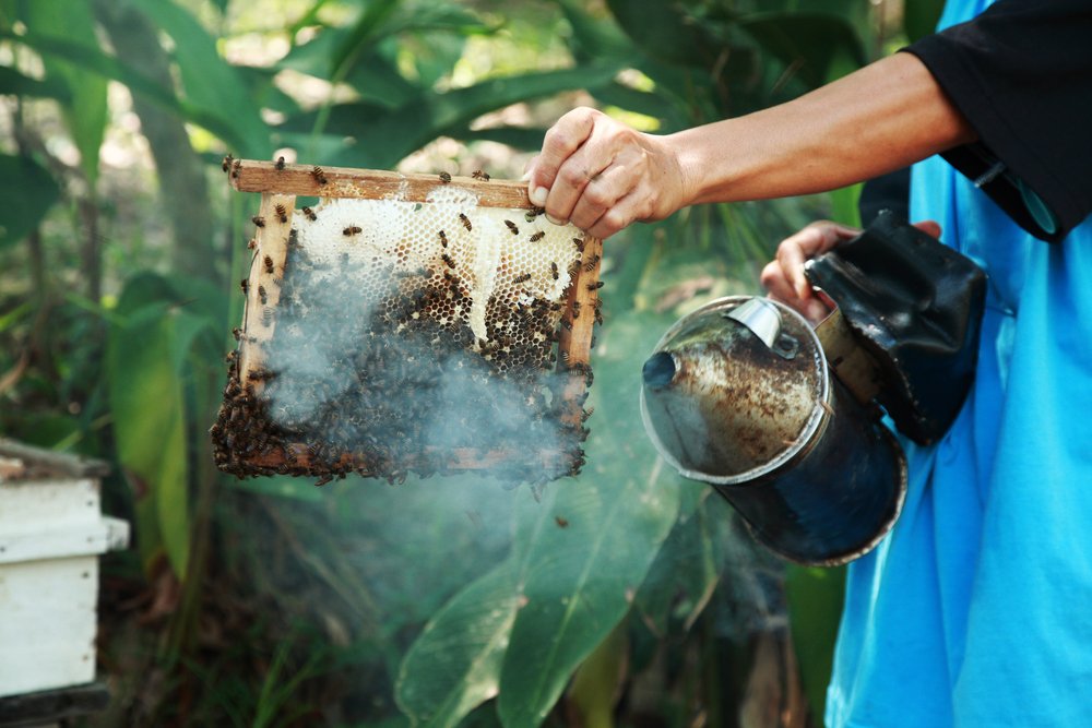 How Does Smoke Affect Honey Bees?