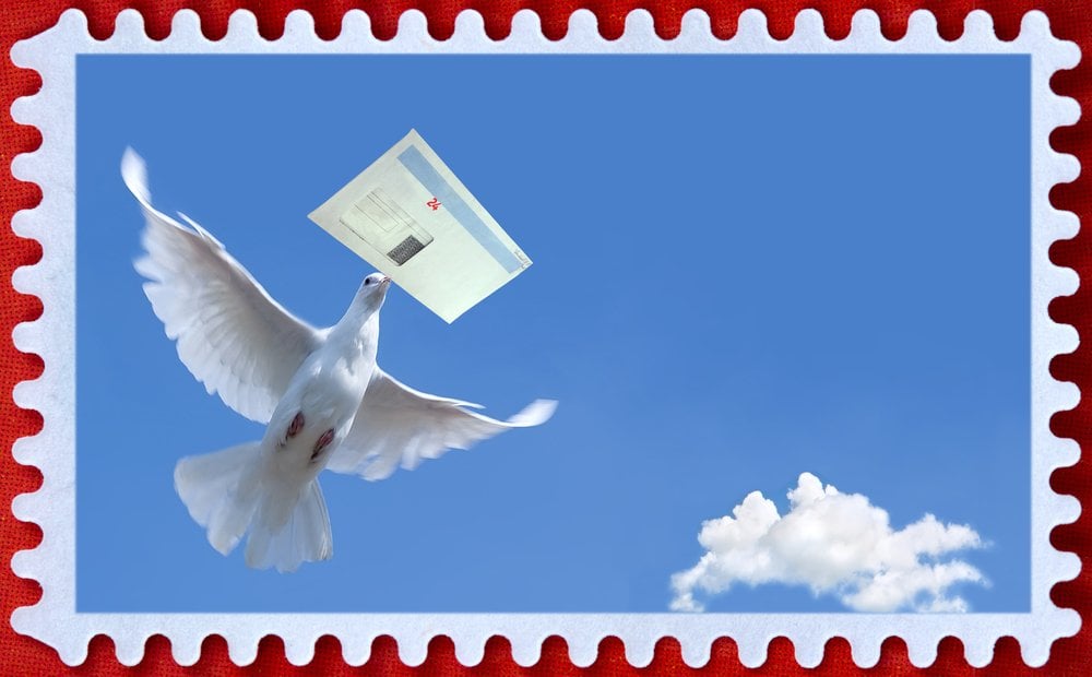 Game jam pigeon delivering mail us postal service