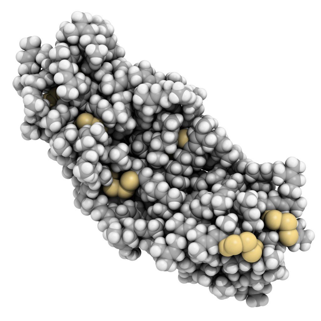Why Do Rubber Bands Lose Their Elasticity? » ScienceABC