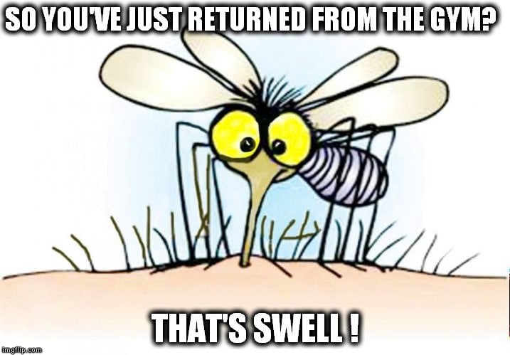 Why Do Mosquitoes Circle Over Your Head When It's Gelled? » Science ABC