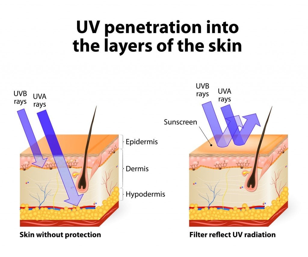 Penetração de radiação UV (Foto: designua / Fotolia)