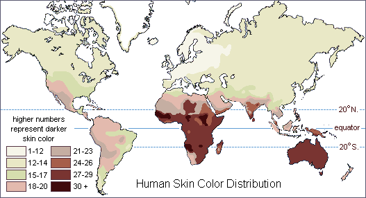 Distribuição da cor da pele (Crédito da foto: anthro.palomar.edu)