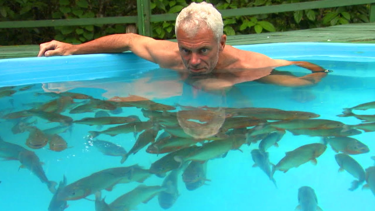 De um episódio de River Monsters