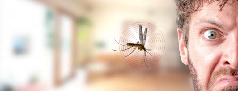 Mosquito buzzing in ear