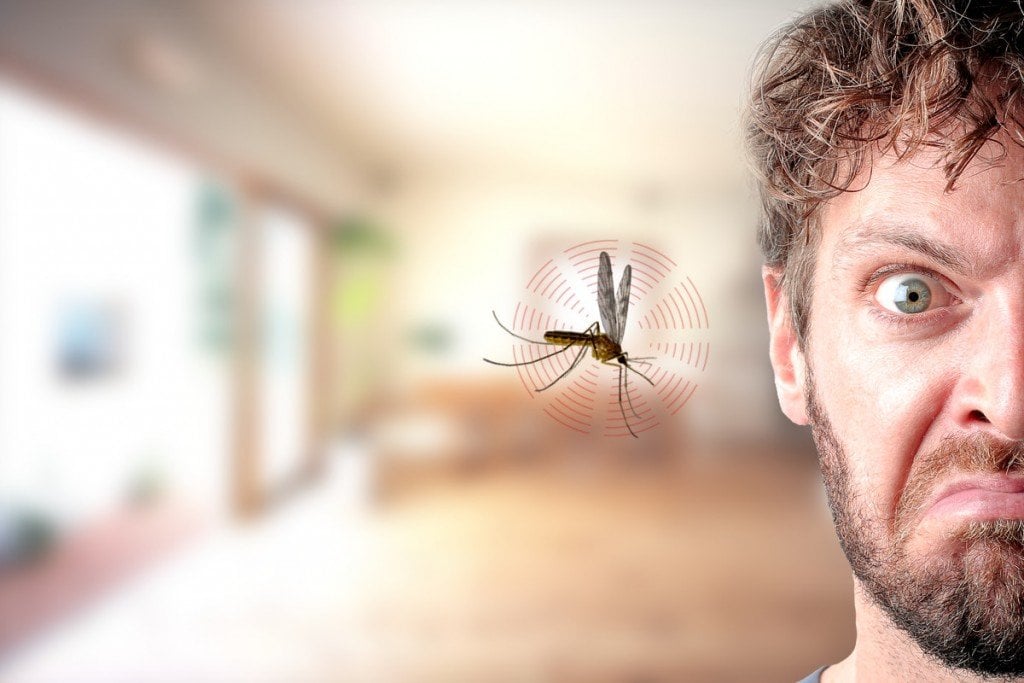 Mosquito buzzing in ear