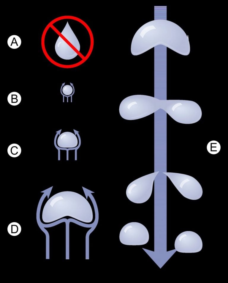 What Is The Shape Of A Raindrop? » ScienceABC