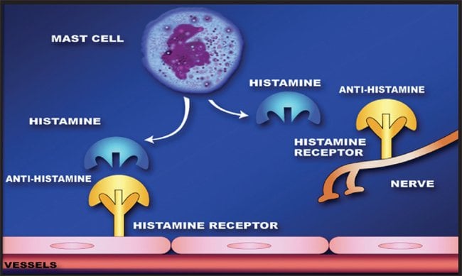 How Do Sleeping Pills Work Science Abc