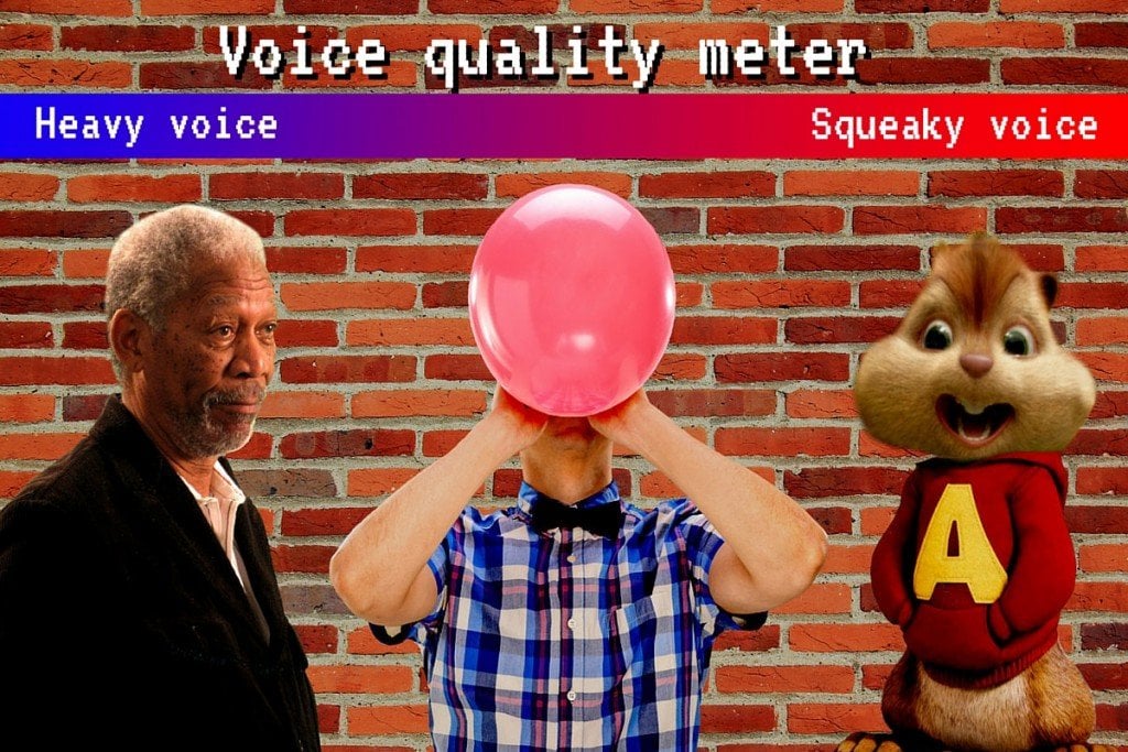 Voice quality meter