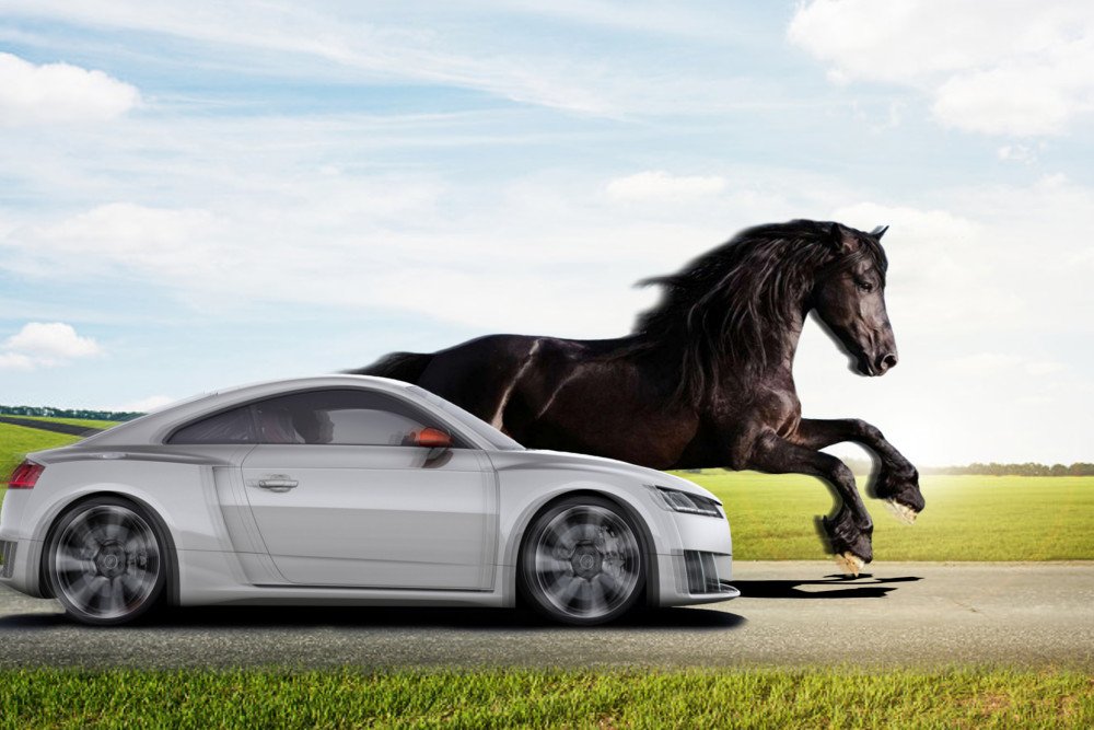 Car & horse