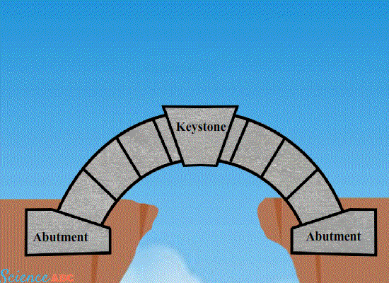 why are some bridges arched science abc