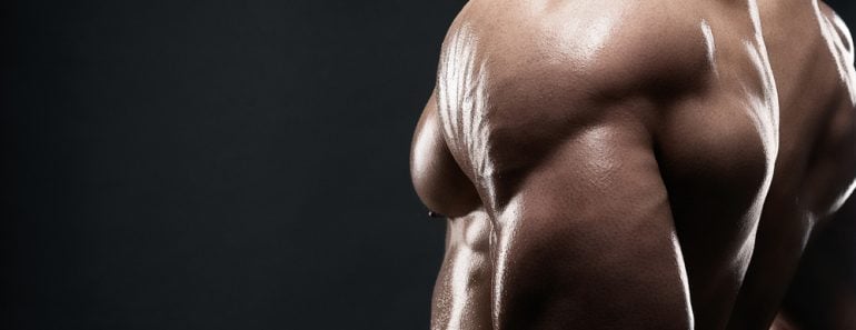 Muscular man muscle body builder