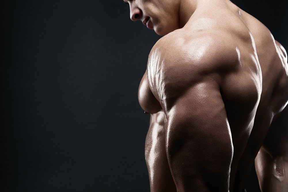 Muscular man muscle body builder