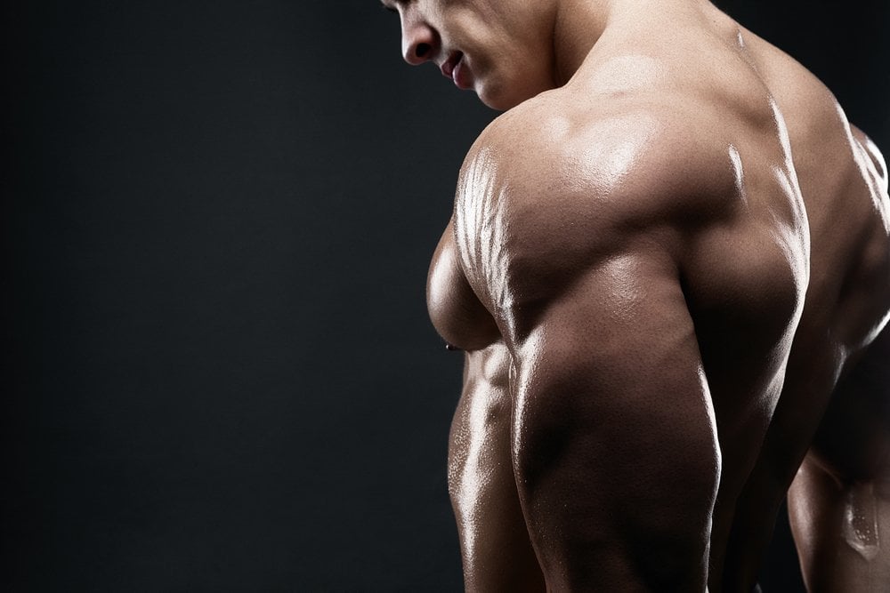 Is There A Limit To The Size Of Our Muscles? » ScienceABC