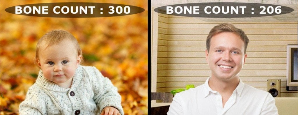 Image result for Babies are born with 300 bones and adults have just 206