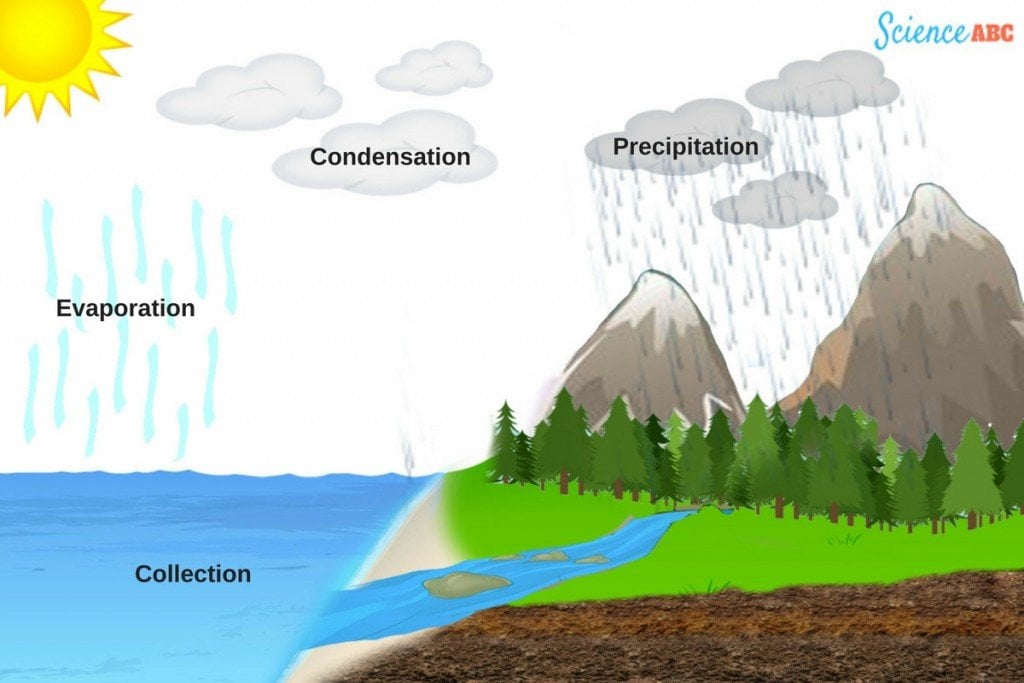 What causes water to evaporate?