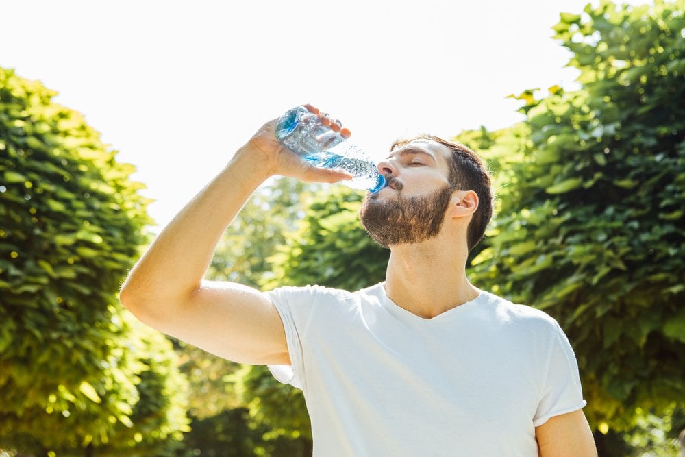 How Are Water and Other Fluids Digested In The Human Body? » Science ABC