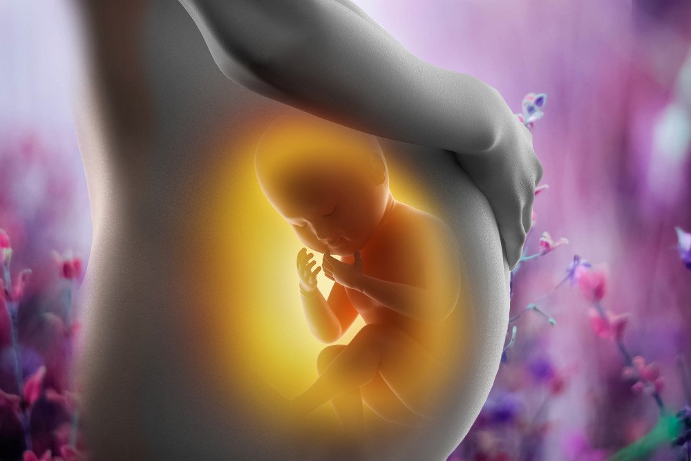When Is Sex Determined In A Fetus 25